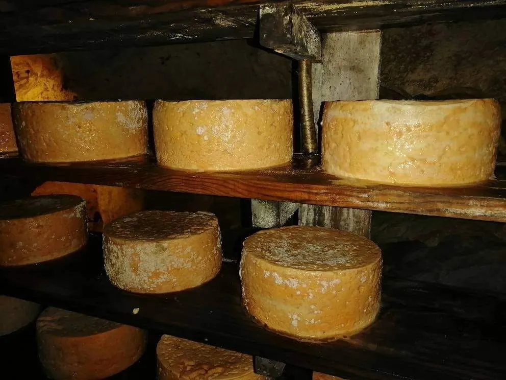 Cueva del Queso de Cabrales