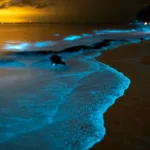 Mar de Ardora, Galicia