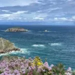 Vistas panorámicas del Cabo de Peñas con flores en primer plano y el océano azul en el horizonte.