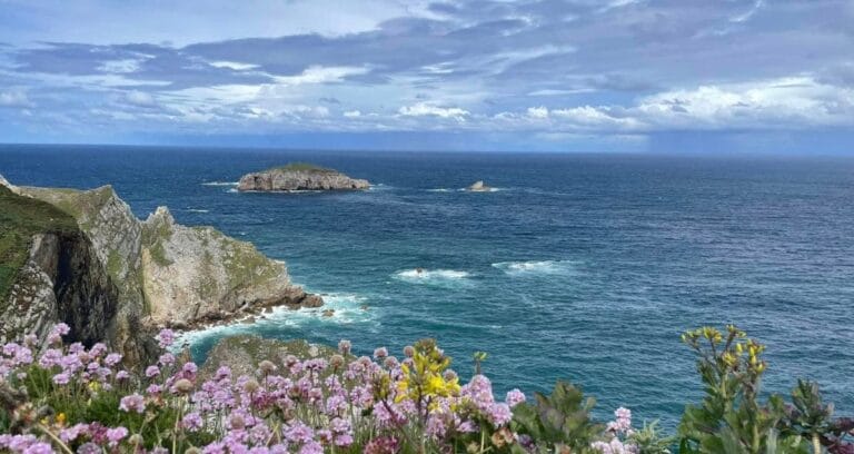 Vistas panorámicas del Cabo de Peñas con flores en primer plano y el océano azul en el horizonte.