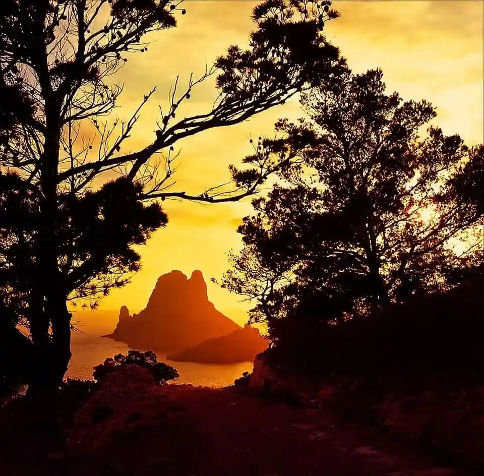 Atardecer y puesta de sol en Ibiza con vistas al islote de Es Vedrà entre pinos mediterráneos.