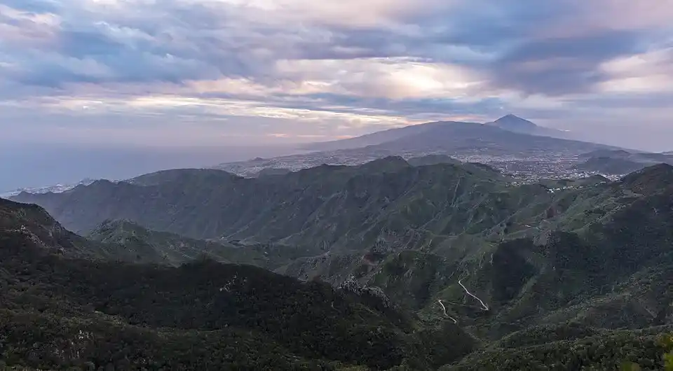 Crestas verdes y bosques de laurisilva del Parque Rural de Anaga en la ruta de qué ver en Tenerife en 4 días