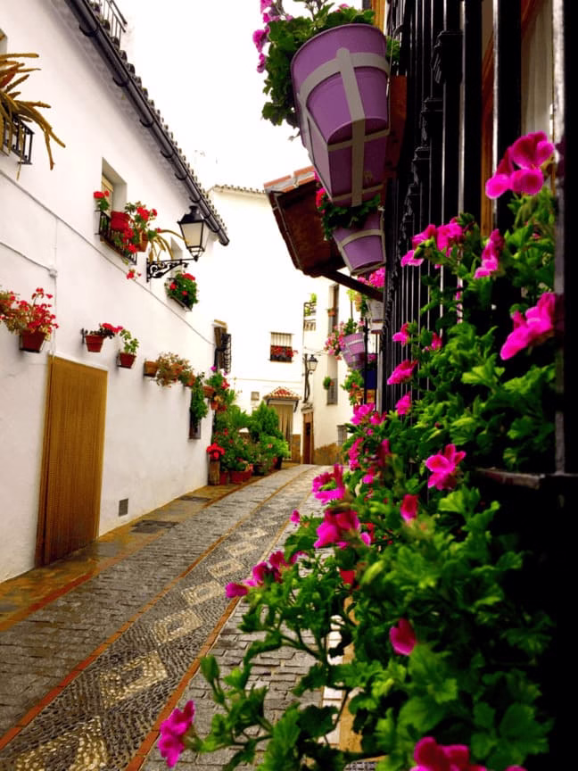 Calle empedrada con macetas de flores coloridas en pueblo blanco de Málaga cerca de Marbella